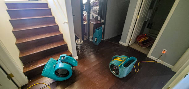 Best Flood damage cleanup  in Windom, MN