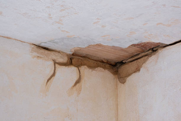 Best Water damage repair service  in Windom, MN