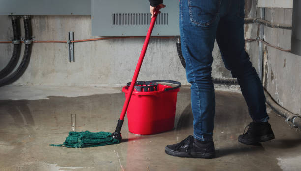 Best Flooded house restoration  in Windom, MN