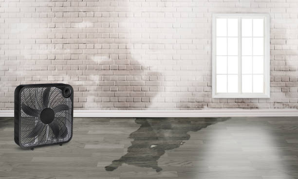 Water damage restoration experts in Windom, MN