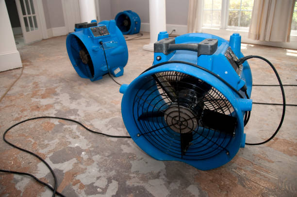  Windom, MN Water damage restoration Pros