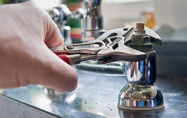 Best Professional water damage repair  in Windom, MN