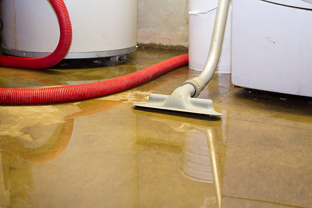 Best Basement water damage restoration  in Windom, MN