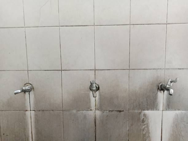 Best Residential water damage restoration  in Windom, MN
