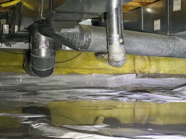 Best Water damage restoration near me  in Windom, MN