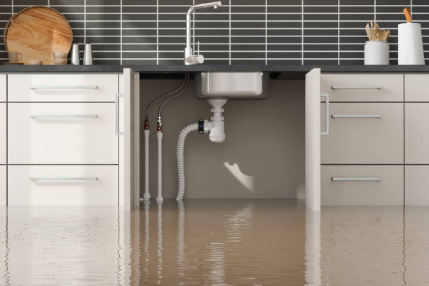 Best Emergency water damage restoration  in Windom, MN