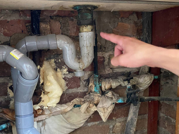 Best Emergency water damage restoration  in Windom, MN