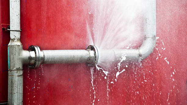 Best Water damage restoration near me  in Windom, MN