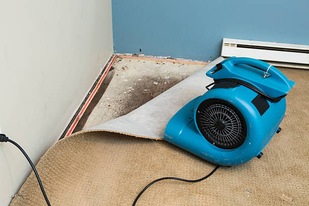 Best Water damage restoration near me  in Windom, MN
